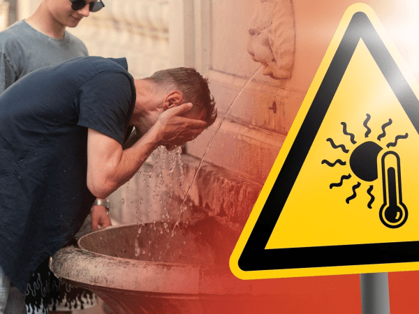 ljeto izetbegović bih dodik deklaracija