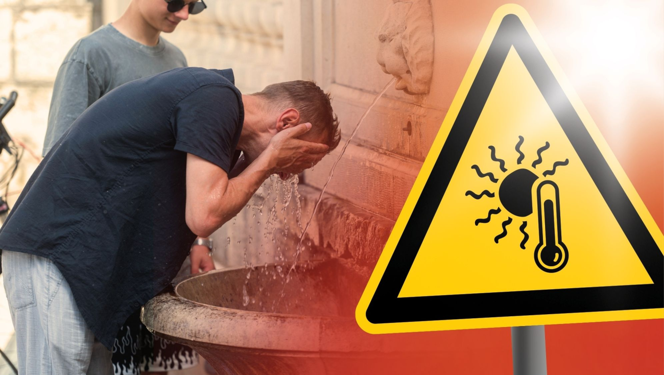 ljeto izetbegović bih dodik deklaracija