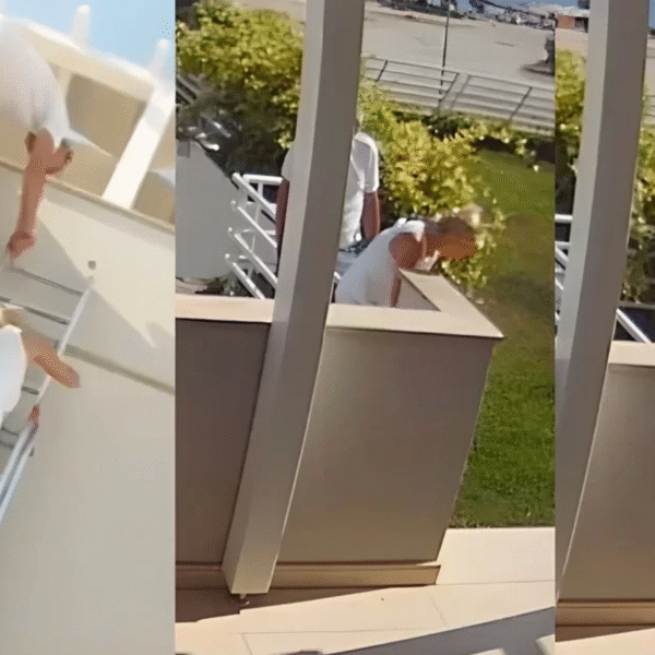 Samo jednom Danka pokuca na vrata danka-derifaj-thompson